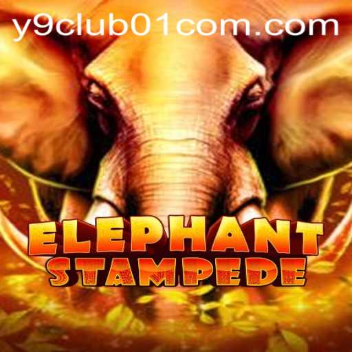 Exploring ElephantStampede: The Next Big Adventure